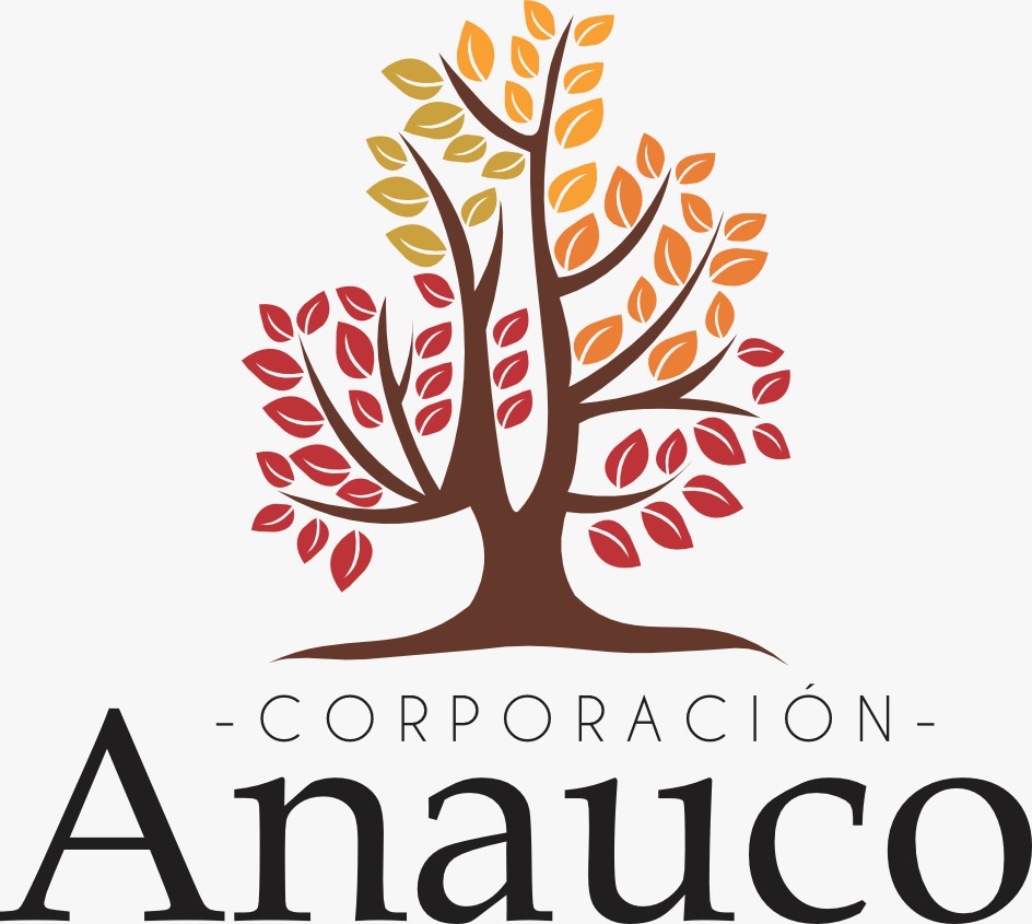 Imagen Destacada