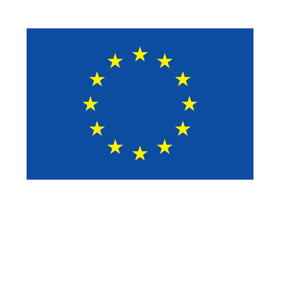ES-V-Cofinanciado-por-la-Union-Europea_NEG